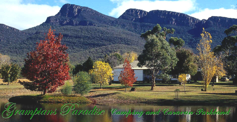 Autumn Colours at Grampians Paradise
